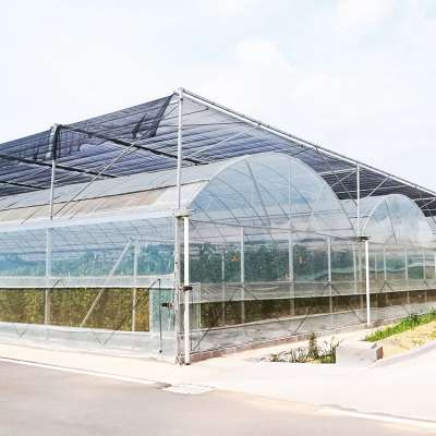 Commercial Uv Treated Plastic Film Greenhouse