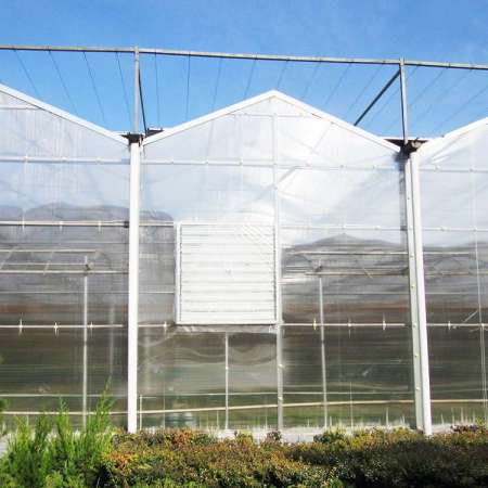 Venlo Roof Agricultural Polycarbonate Sheet Greenhouse