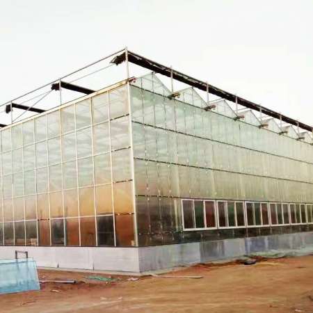 China Professional Aluminum Glass Greenhouse With High Quality