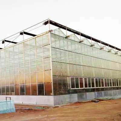 China Professional Aluminum Glass Greenhouse With High Quality